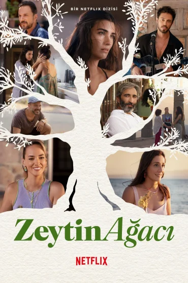 Zeytin Ağacı>